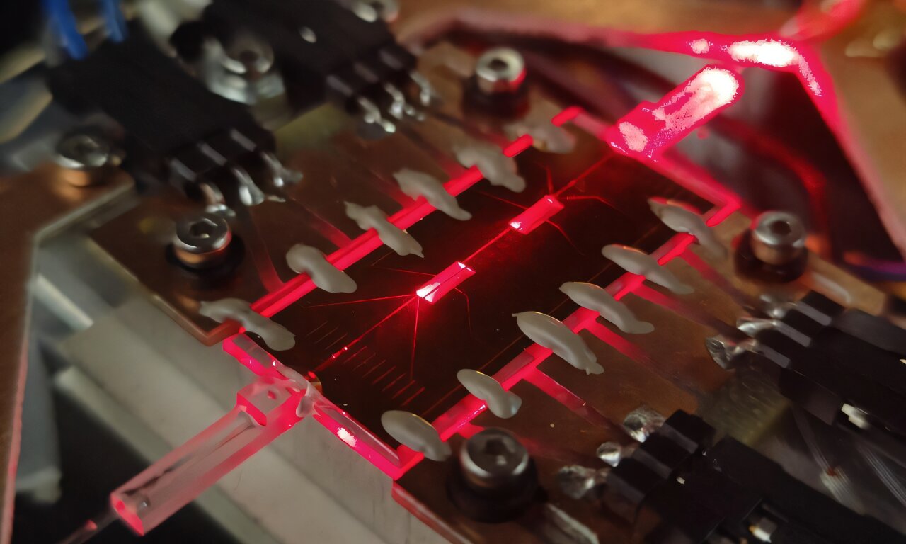 زجاج الكم: درع جديد لحماية البيانات من الاختراقات المتطورة - زجاج الكم: درع جديد لحماية البيانات من الاختراقات المتطورة - زجاج الكم: درع جديد لحماية البيانات من الاختراقات المتطورة - زجاج الكم: درع جديد لحماية البيانات من الاختراقات المتطورة - زجاج الكم: درع جديد لحماية البيانات من الاختراقات المتطورة - زجاج الكم: درع جديد لحماية البيانات من الاختراقات المتطورة - زجاج الكم: درع جديد لحماية البيانات من الاختراقات المتطورة