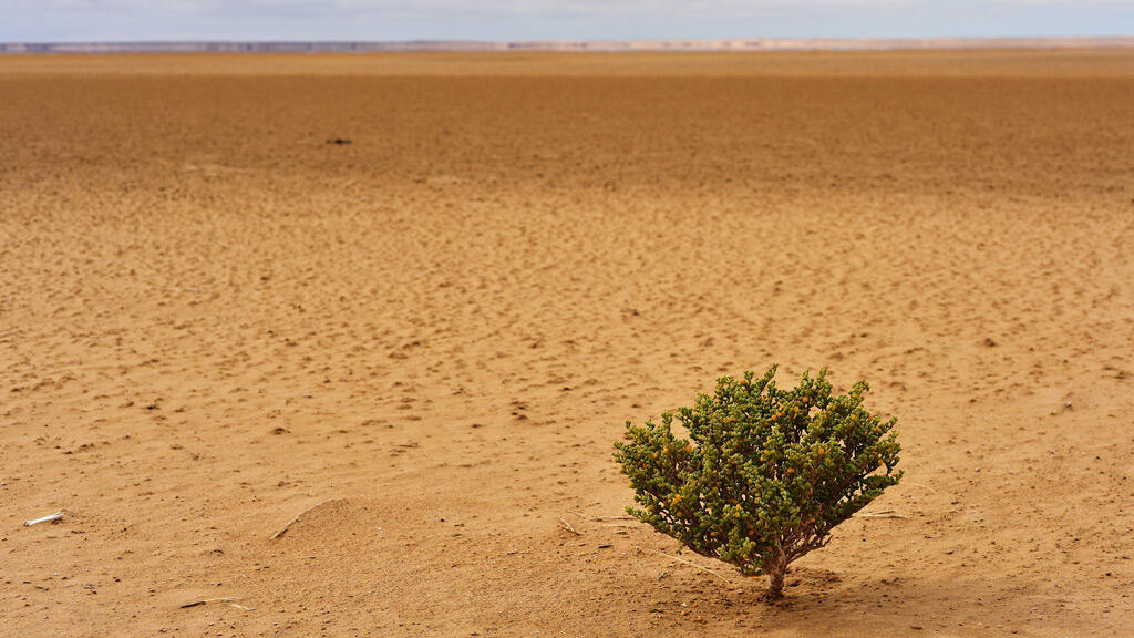 أفريقيا تدفع ثمن أزمات لا ناقة لها فيها ولا جمل وتنمو ببطء