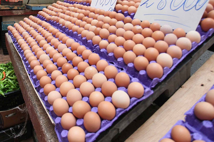 Ministry of Agriculture Denies Rumors Regarding Risks of Imported Eggs and Confirms Health Safety